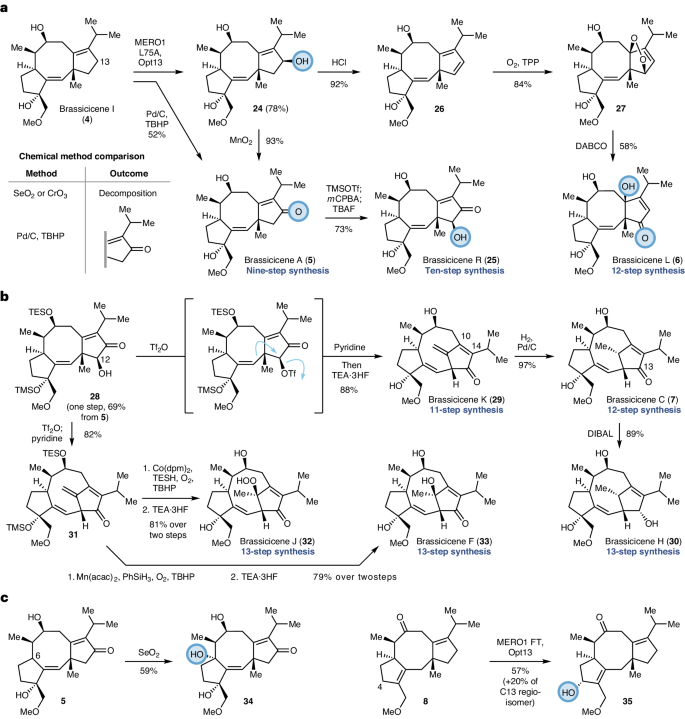 兩個(gè)作者，一篇Nature Chemistry！