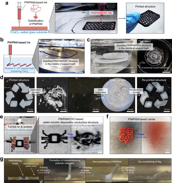 3D打印，最新Nature子刊！