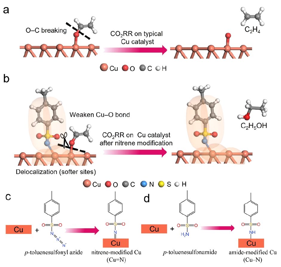 他，從獲優(yōu)青資助再到杰青資助僅7年，最新JACS僅1個(gè)月就接收！