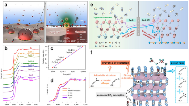 IF=46.2！海南大學田新龍/鄧培林，最新Chemical Society Reviews綜述！