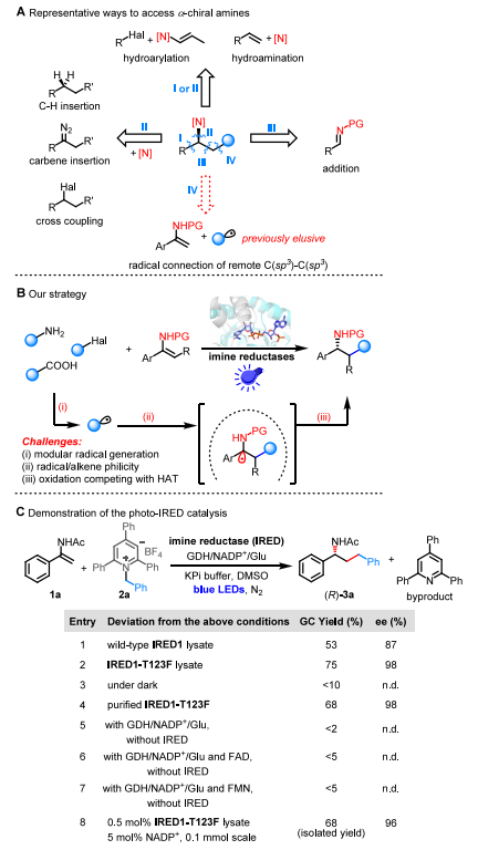 廈大王斌舉/南大黃小強，最新JACS！