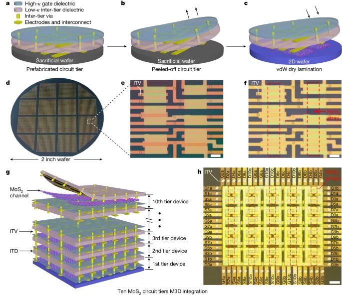 湖南大學-物理與微電子科學學院，再發Nature！