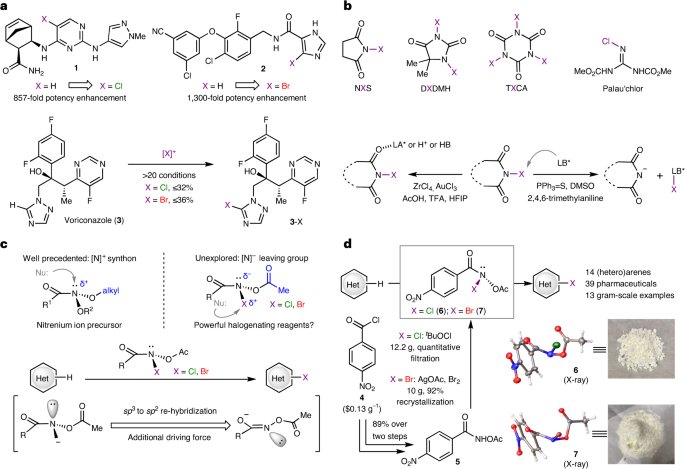 他，有機合成大牛，10年從教授到院士，第7篇Nature Chemistry!