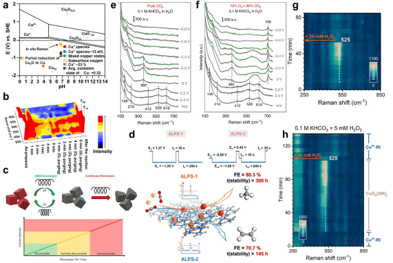 IF=46.2！海南大學田新龍/鄧培林，最新Chemical Society Reviews綜述！