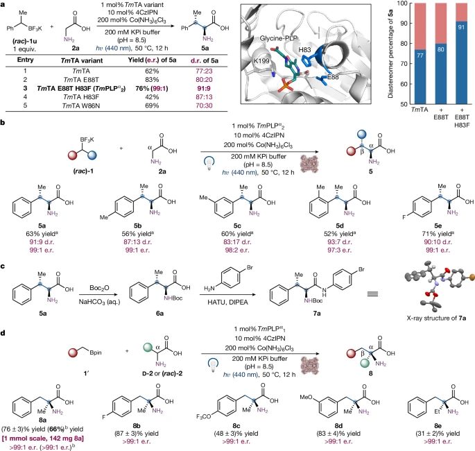 楊揚/劉鵬強強聯合！Science之后，再發Nature！