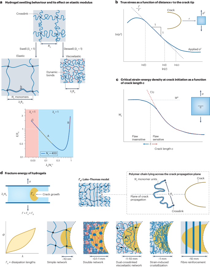 IF=83.5 頂級綜述！一作+通訊，水凝膠最新Nature Reviews Materials！