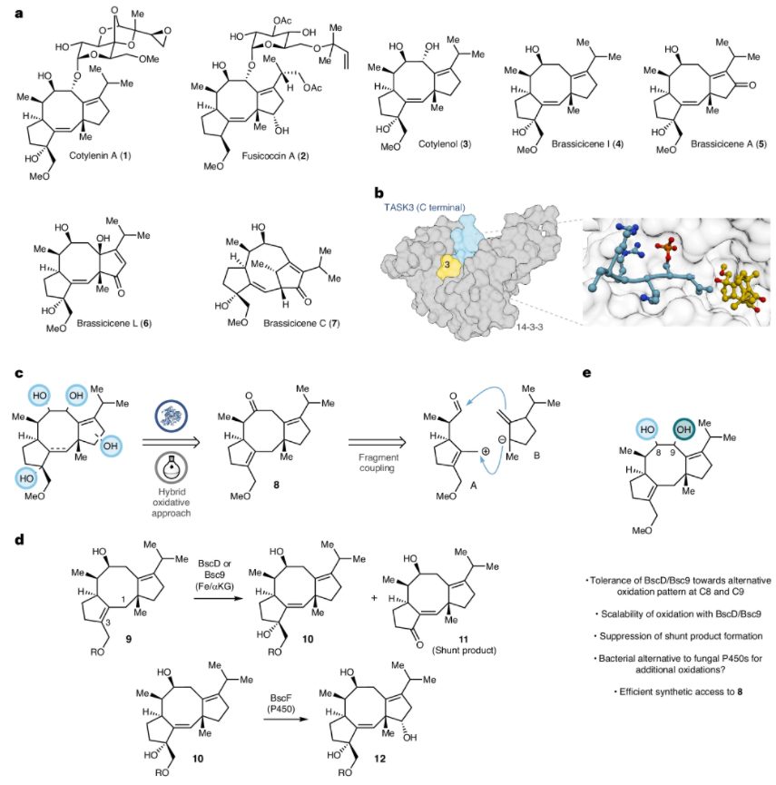 兩個(gè)作者，一篇Nature Chemistry！