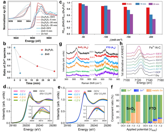 IF=46.2！海南大學田新龍/鄧培林，最新Chemical Society Reviews綜述！