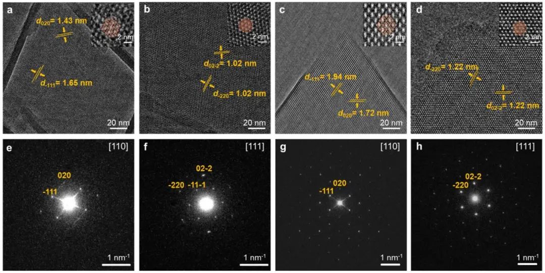 她，四院院士、新加坡國立常務副校長！最新JACS！