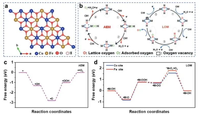 ?西北大學AFM: B和Fe雙摻雜誘導晶格氧機制，強化堿性淡水和海水氧化活性