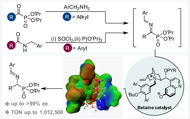 西湖大學鄧力，最新JACS：手性α-氨基膦酸酯的合成！