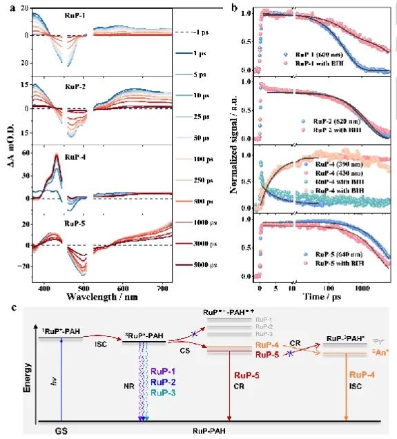 ?大化所/華僑大學Angew: 調控單核Ru(II)配合物三重態，增強光催化性能