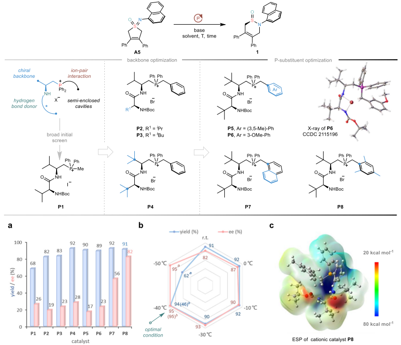 四川大學(xué)，最新Nature子刊！