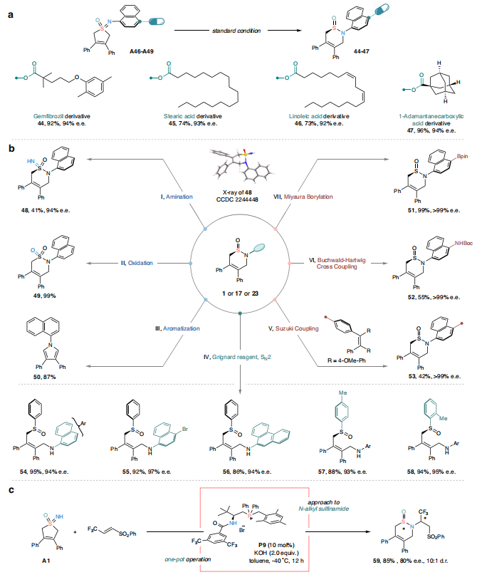 四川大學(xué)，最新Nature子刊！