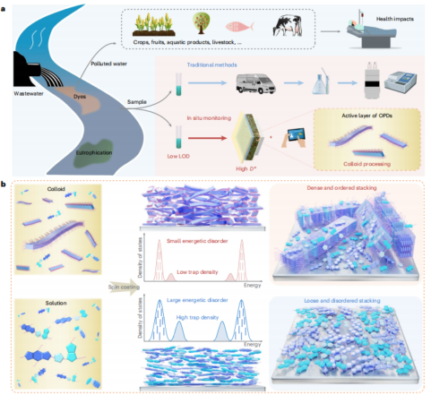 中科院化學所&吉林大學，最新Nature Water：高靈敏度水污染監測！