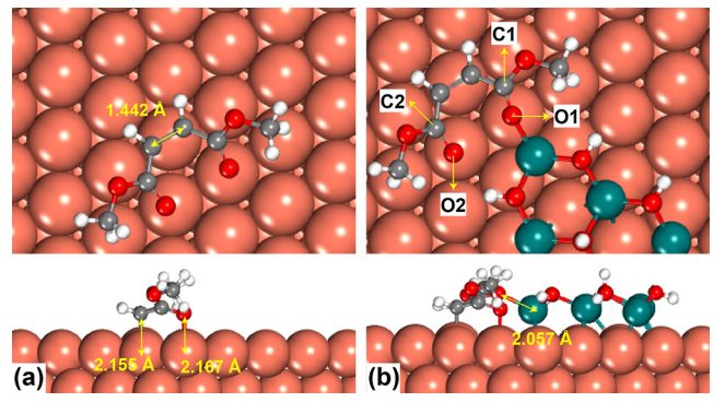 天津大學余英哲，最新ACS Catalysis！