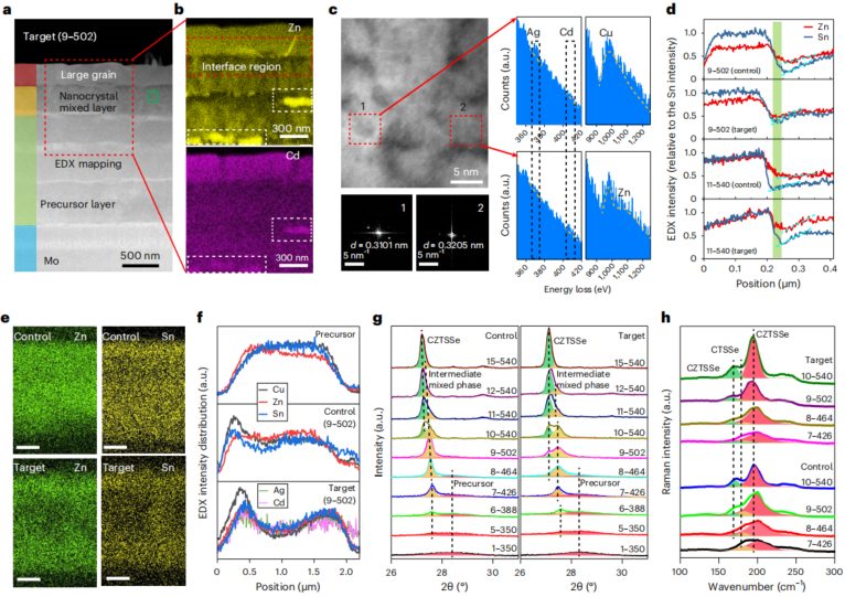 中科院物理所最新突破，「國家杰青」團隊重磅Nature Energy！