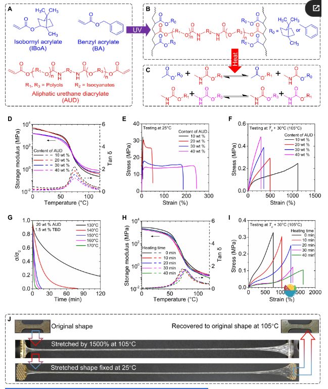 他，發(fā)表全球首篇“4D打印”論文，全球前2%頂尖科學(xué)家，最新Science子刊！