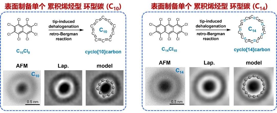 Nature重磅：首次合成，化學(xué)重大突破！