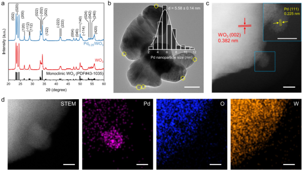 2023新晉院士，最新JACS！