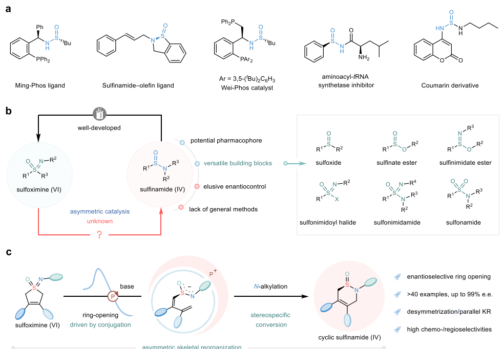 四川大學(xué)，最新Nature子刊！