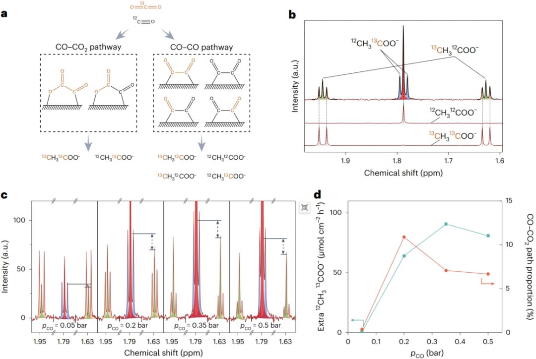 南京大學「國家級青年人才」聯手「院士」團隊，新發Nature Synthesis！