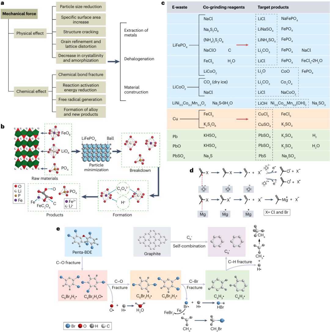 河北農(nóng)業(yè)大學(xué)，唯一通訊單位，最新Nature系列頂級綜述！