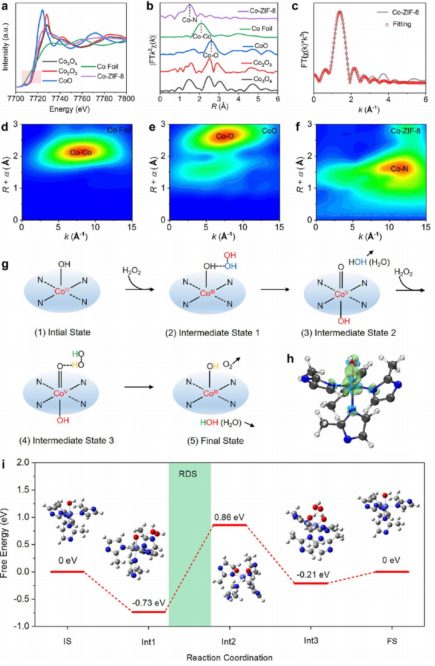 施劍林院士，最新JACS！催化讓你健康!