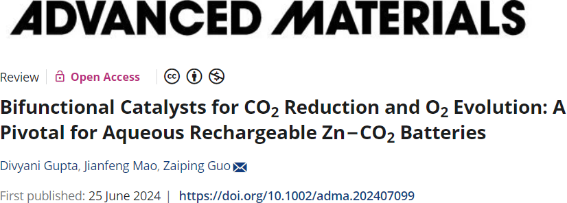 郭再萍院士，最新AM：水系可充Zn-CO2電池的關鍵！