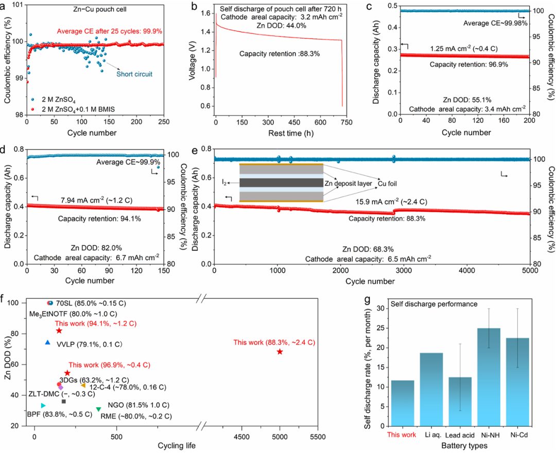 喬世璋院士，最新JACS！