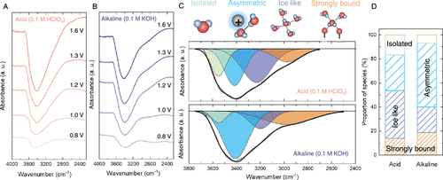 帝國理工Nature Catalysis + JACS：二氧化銥水氧化光譜電化學(xué)新發(fā)現(xiàn)
