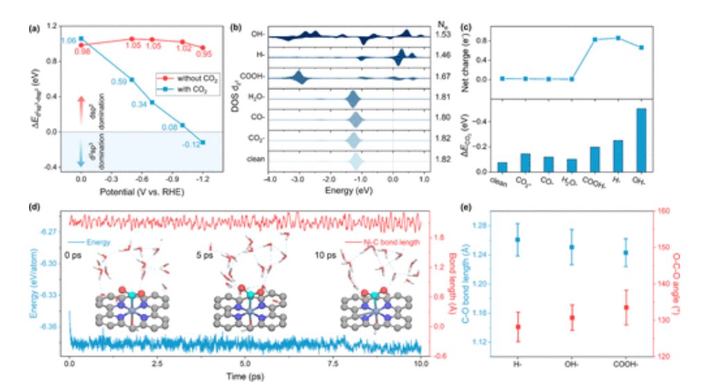 東南大學，發表JACS！工作條件下的雜化態轉變，單原子催化劑的活性來源