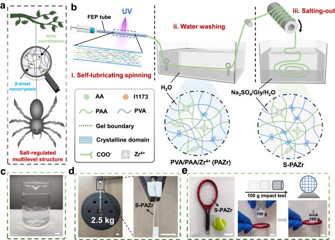 受蜘蛛絲啟發(fā)，華南理工大學最新Nature子刊！