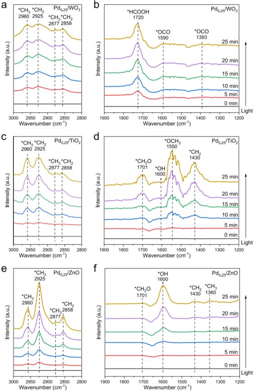 2023新晉中科院院士，最新JACS！