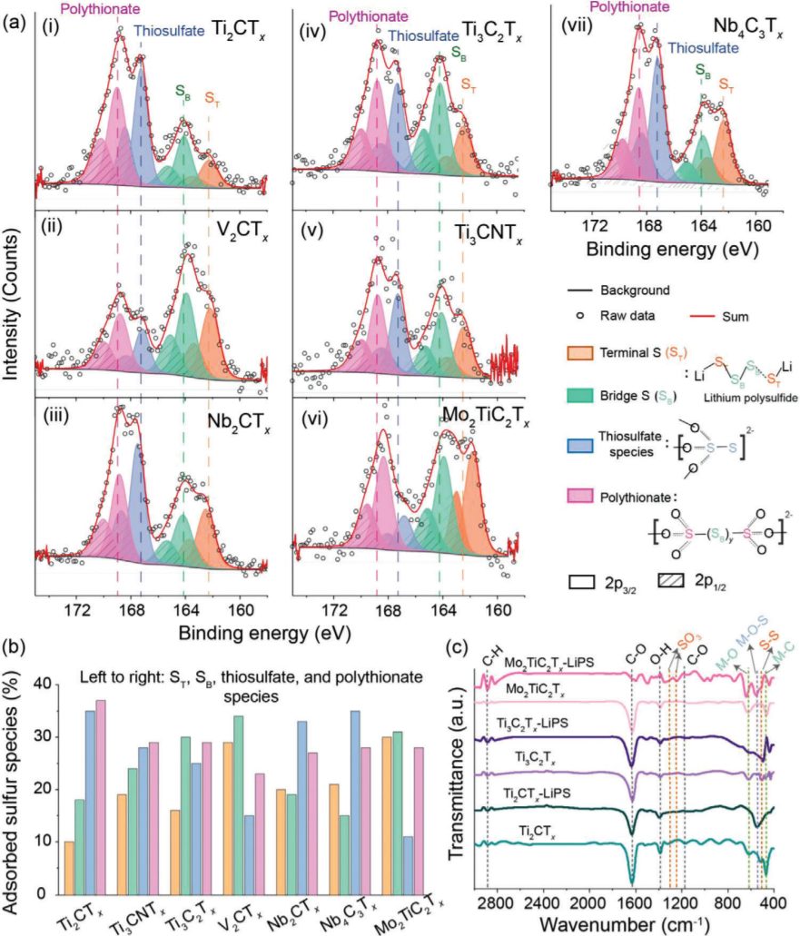 “MXene鼻祖”Yury Gogotsi教授，最新AFM：一文讀懂，科學(xué)篩選用于吸附多硫化物的MXenes！