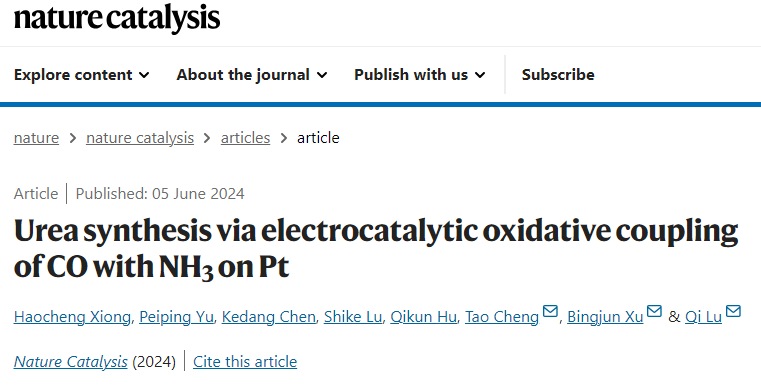 陸奇/徐冰君/程濤，最新Nature Catalysis！