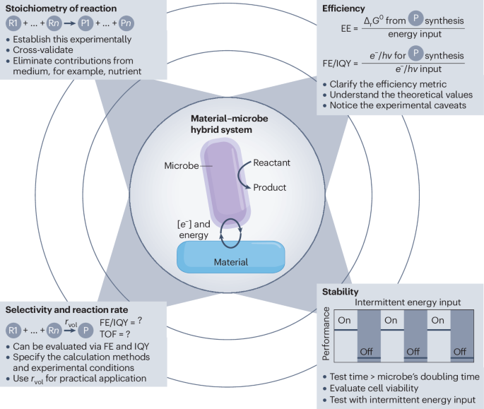 斯隆獎得主！師從趙東元/楊培東兩位院士，UCLA劉翀Nature Catalysis！