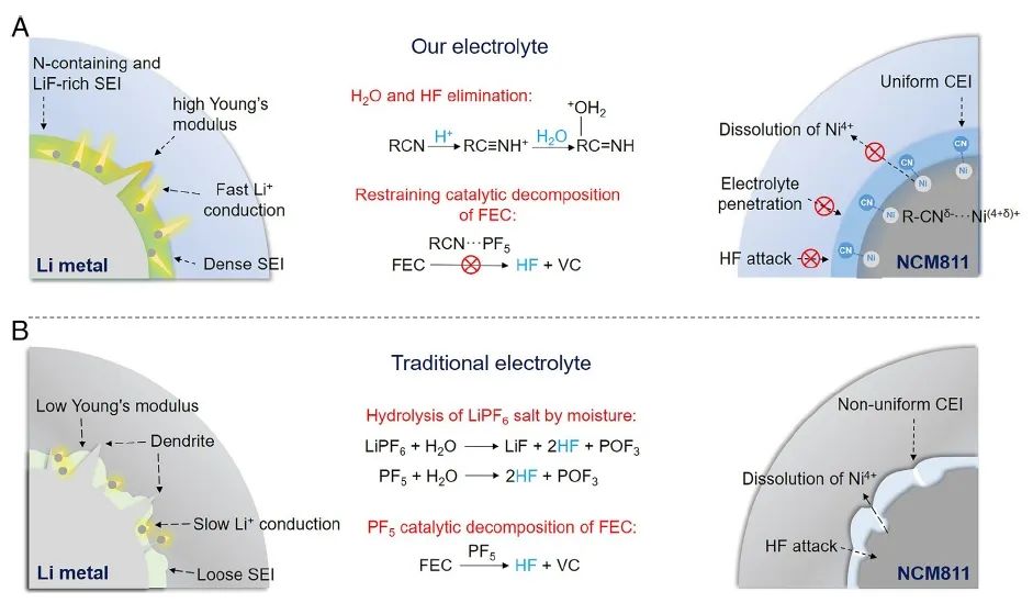 華科/物理所PNAS：氟代和氰基取代溶劑相結(jié)合的電解質(zhì)設(shè)計用于無負極鋰金屬電池
