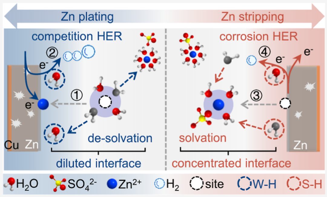 ?廈大「國家高層次人才」&華科大「國家杰青」聯手，新發(fā)JACS！