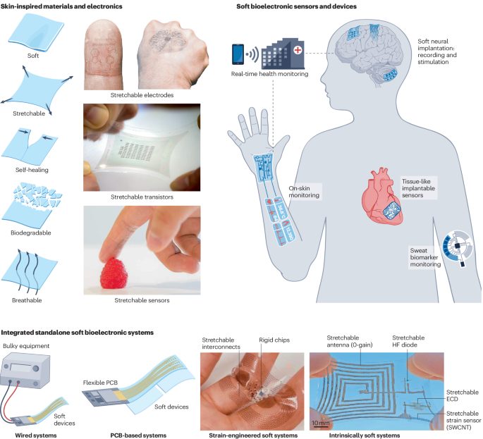 鮑哲南院士，最新Nature Reviews Bioengineering！