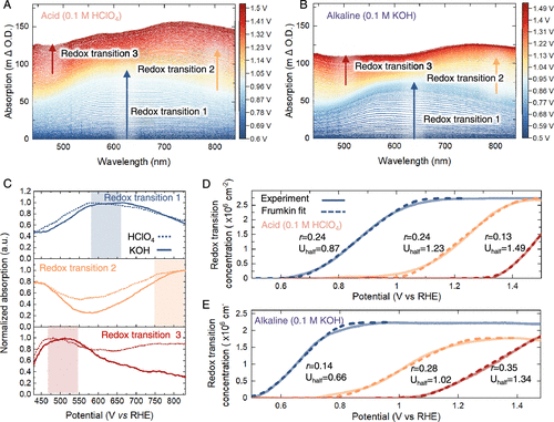 帝國理工Nature Catalysis + JACS：二氧化銥水氧化光譜電化學(xué)新發(fā)現(xiàn)