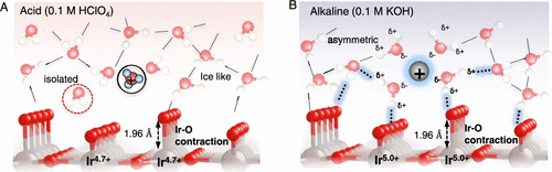 帝國理工Nature Catalysis + JACS：二氧化銥水氧化光譜電化學(xué)新發(fā)現(xiàn)