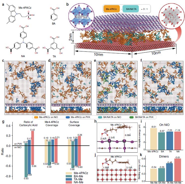 華中科技大學，最新Nature！