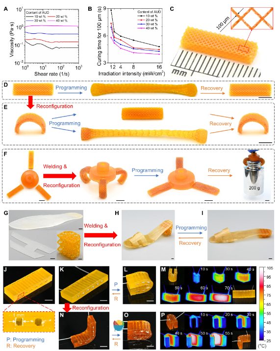 他，發(fā)表全球首篇“4D打印”論文，全球前2%頂尖科學(xué)家，最新Science子刊！