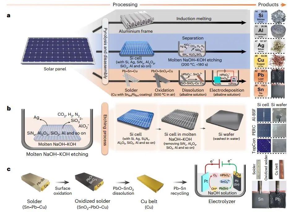 回收硅太陽能電池板！武大「國家杰青」團隊，最新Nature Sustainability！