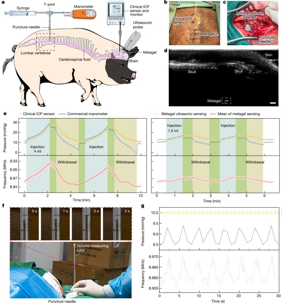 華中科技大學，最新Nature！