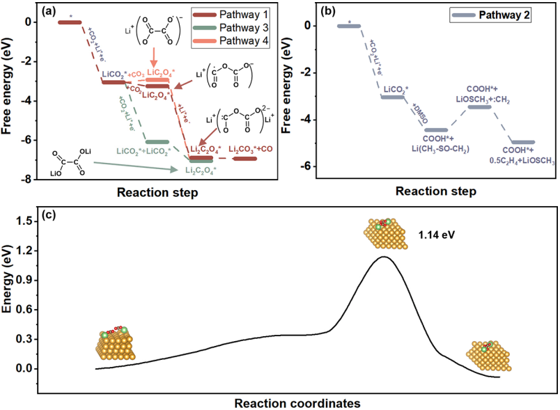 中科院大連化物所「國家杰青」彭章泉團隊，最新JACS！