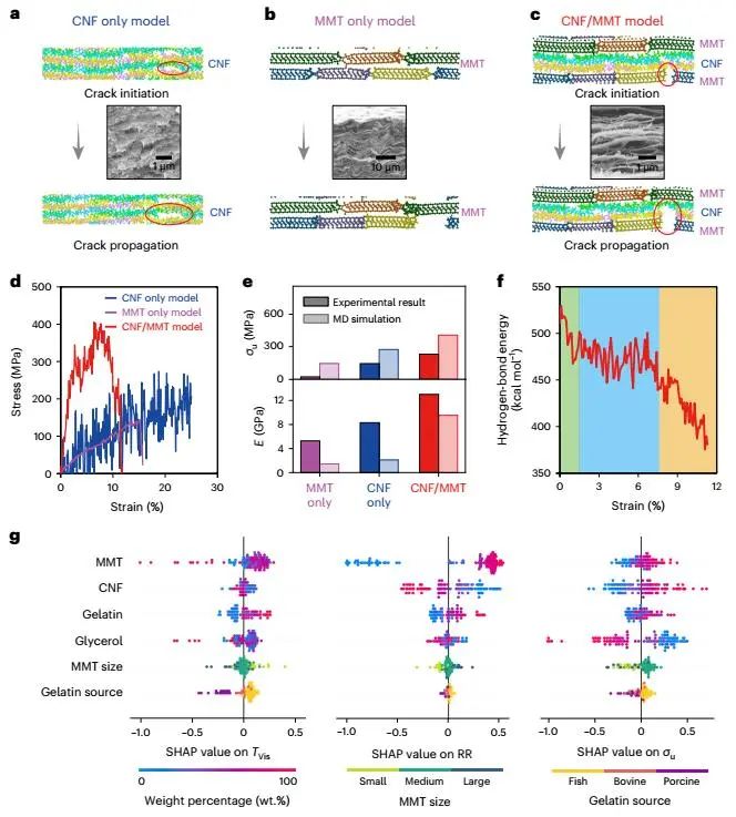胡良兵/李騰等，最新Nature Nanotechnology！