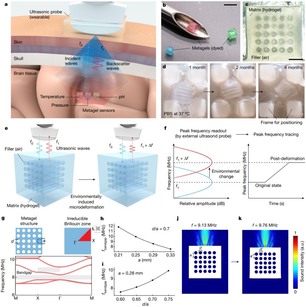 華中科技大學，最新Nature！
