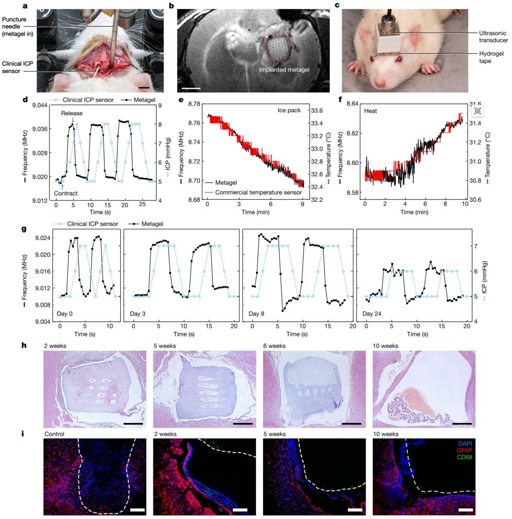 華中科技大學，最新Nature！